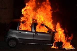 10703626_826413264065181_8945048919405592223_n